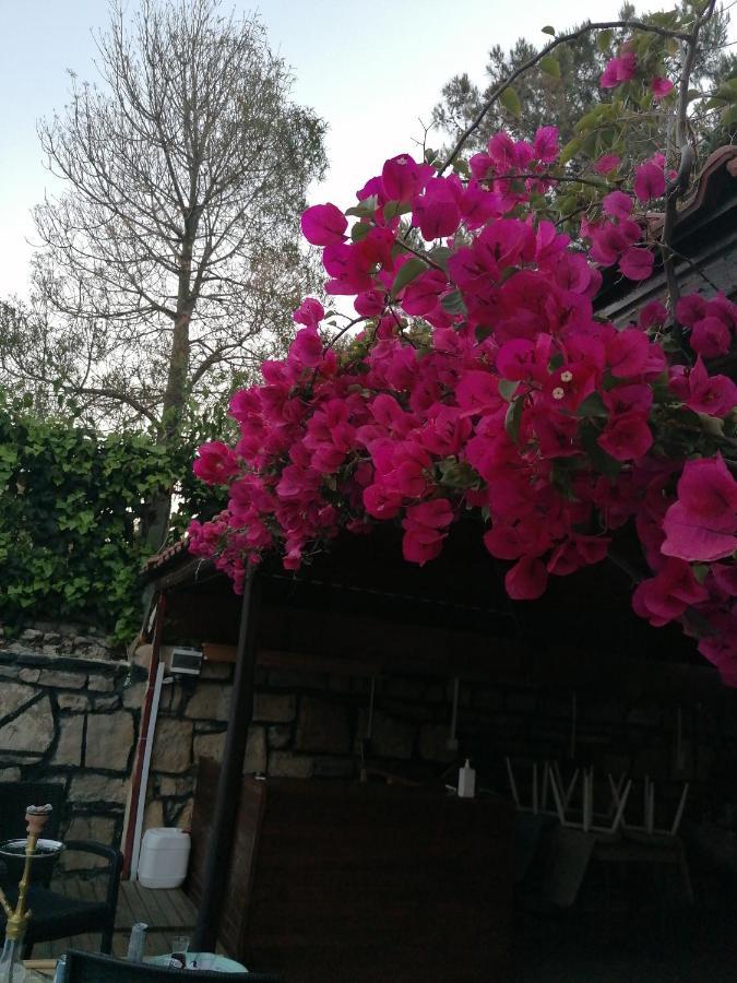سيدي Adalis Boutique Hotel المظهر الخارجي الصورة